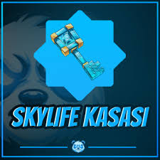 Skylife Kasası x4